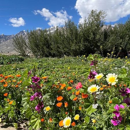 Guru View Home Stay Padam Εξωτερικό φωτογραφία